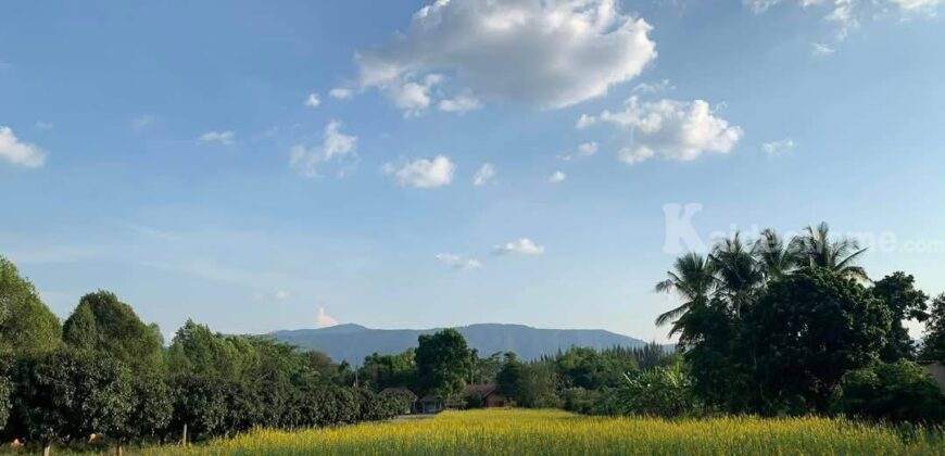 ขายที่ดินเขาใหญ่ สระน้ำใส หมูสี โป่งตาลอง 4 ไร่ ที่ดินพร้อมบ้านสวนหลังเล็ก เทควิวเขาใหญ่ ติดถนนลาดยาง ใกล้ธนะรัชต์ ไม่เปลี่ยว เดินทางสะดวก ใกล้ทอสคาน่า Toscana ปากช่อง ขายด่วน 087-9074045