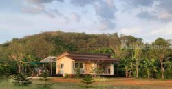 ขายที่ดินเขาใหญ่ สระน้ำใส หมูสี โป่งตาลอง 4 ไร่ ที่ดินพร้อมบ้านสวนหลังเล็ก เทควิวเขาใหญ่ ติดถนนลาดยาง ใกล้ธนะรัชต์ ไม่เปลี่ยว เดินทางสะดวก ใกล้ทอสคาน่า Toscana ปากช่อง ขายด่วน 087-9074045