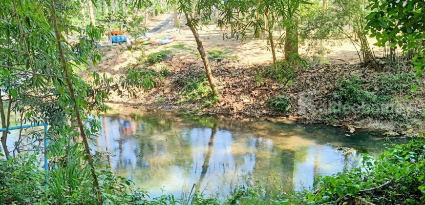 ขายที่ติดน้ำลำตะคอง เขาใหญ่ 3.5 ไร่ หน้าที่ติดถนนลาดยางเส้นท่าช้าง ท้ายที่ติดน้ำลำตะคอง อยู่ท่าช้าง หมูสี ปากช่อง ใกล้ถนนธนะรัชต์ น้ำผุดธรรมชาติ ที่ริมน้ำเขาใหญ่ ทำเลดี ขายถูก 087-9074045