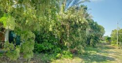 ขายที่ติดน้ำลำตะคอง เขาใหญ่ 3.5 ไร่ หน้าที่ติดถนนลาดยางเส้นท่าช้าง ท้ายที่ติดน้ำลำตะคอง อยู่ท่าช้าง หมูสี ปากช่อง ใกล้ถนนธนะรัชต์ น้ำผุดธรรมชาติ ที่ริมน้ำเขาใหญ่ ทำเลดี ขายถูก 087-9074045