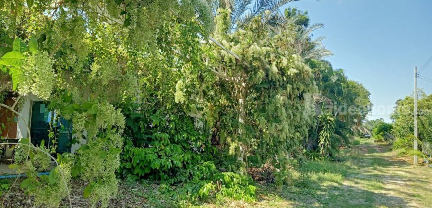 ขายที่ติดน้ำลำตะคอง เขาใหญ่ 3.5 ไร่ หน้าที่ติดถนนลาดยางเส้นท่าช้าง ท้ายที่ติดน้ำลำตะคอง อยู่ท่าช้าง หมูสี ปากช่อง ใกล้ถนนธนะรัชต์ น้ำผุดธรรมชาติ ที่ริมน้ำเขาใหญ่ ทำเลดี ขายถูก 087-9074045