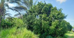 ขายที่ติดน้ำลำตะคอง เขาใหญ่ 3.5 ไร่ หน้าที่ติดถนนลาดยางเส้นท่าช้าง ท้ายที่ติดน้ำลำตะคอง อยู่ท่าช้าง หมูสี ปากช่อง ใกล้ถนนธนะรัชต์ น้ำผุดธรรมชาติ ที่ริมน้ำเขาใหญ่ ทำเลดี ขายถูก 087-9074045