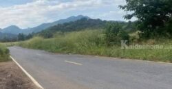 ขายที่เขาใหญ่ 2 ไร่ เขาวง หนองน้ำแดง วิวเขาล้อม ติดถนนลาดยาง เดินทางสะดวก ใกล้ถนนมิตรภาพ ธนะรัชต์ กุดคล้าผ่านศึก เข้าออกได้หลายทาง ที่สวย บรรยากาศดี สงบ เหมาะปลูกบ้านตากอากาศ 087-9074045