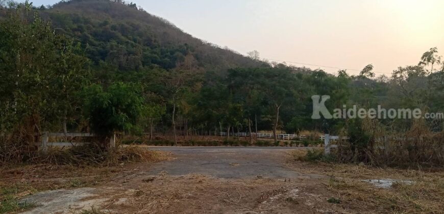 ขายที่เขาใหญ่ 2 ไร่ เขาวง หนองน้ำแดง วิวเขาล้อม ติดถนนลาดยาง เดินทางสะดวก ใกล้ถนนมิตรภาพ ธนะรัชต์ กุดคล้าผ่านศึก เข้าออกได้หลายทาง ที่สวย บรรยากาศดี สงบ เหมาะปลูกบ้านตากอากาศ 087-9074045