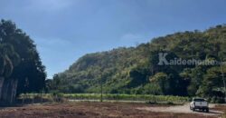 ขายที่ดินเขาใหญ่ 1 ไร่ ที่ดินหมูสี ท่าช้าง ปากช่อง ใกล้ธนะรัชต์ ใกล้คีรีมายา น้ำผุดธรรมชาติ วิวเขาสวยมาก ติดถนนลาดยาง ใกล้ตลาด ร้านค้า เดินทางสะดวก ไม่เปลี่ยว เหมาะปลูกบ้านตากอากาศ 087-9074045