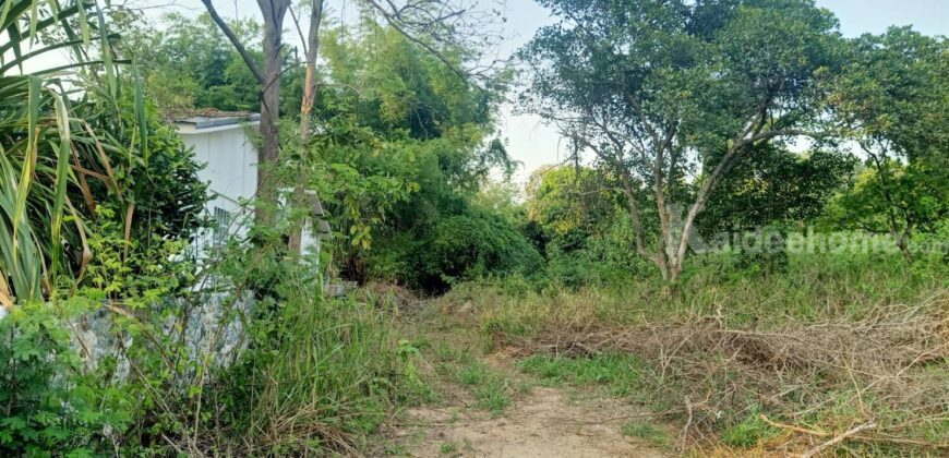 ขายที่ดินติดน้ำลำตะคอง ที่ริมน้ำในตัวเมืองปากช่อง ที่ดิน 528 ตร.ว ที่สวยแปลงมุมหน้ากว้างติดน้ำสองด้าน ได้วิวคุ้งน้ำสวยติดถนนสาธารณะลาดยางเดินทางสะดวก ใกล้ตลาด โรงพยาบาล ถนนมิตรภาพ 087-9074045