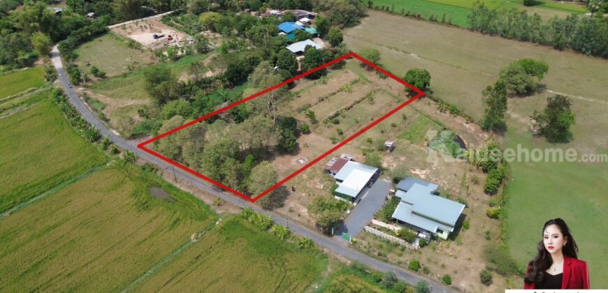 📢 ขายที่ดินสวย ต.เกาะโพธิ์ อ.ปากพลี จ.นครนายก 🌿