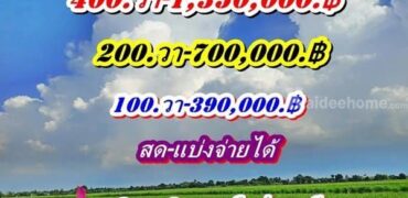 ถูกกว่าใครในย่านนี้ไฟฟ้าประปาครบจบที่นี่-คลอง8.บึงบอน หมู่ที่ 4 ตะวันตก (ฝั่งวัดบึงบอน) T.062-1574449