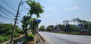 ขายที่ดิน 3 ไร่ ด้านหลังตลาดหนองจอก ถนนผดุงพันธ์ซอย 1 ทำเลธุรกิจ กรุงเทพชั้นนอกที่ชุมชน ติดถนน โทร 088-987-9915