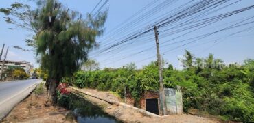 ขายที่ดินหนองจอก 3 ไร่ ด้านหลังตลาดหนองจอก ถ.ผดุงพันธ์ ซอย1 ทำเลธุรกิจ กรุงเทพชั้นนอก ที่ชุมชน ติดถนน โทร 0889879915