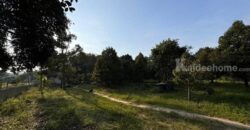 ขายที่ สวนทุเรียน อ.เมืองระยอง พร้อมแหล่งน้ำธรรมชาติ ใกล้ทะเล ด้านหลังเป็นเขายายดา ห่างตลาดบ้านเพ 3 ก.ม. เนื้อที่ 4 ไร่ 3 งาน 29 ตร.ว. ไร่ละ 2.5 ลบ. โทร 0852619111