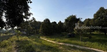 ขายที่ สวนทุเรียน อ.เมืองระยอง พร้อมแหล่งน้ำธรรมชาติ ใกล้ทะเล ด้านหลังเป็นเขายายดา ห่างตลาดบ้านเพ 3 ก.ม. เนื้อที่ 4 ไร่ 3 งาน 29 ตร.ว. ไร่ละ 2.5 ลบ. โทร 0852619111