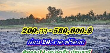 อยู่ตึกสูงเสี่ยงแผ่นดินไหว หาที่ดินผ่อนได้ปลายกรุงอยู่บ้านสวนชิวล์ๆไม่มีเงินก้อนก็ผ่อนชิวล์-ที่ดินคลอง11หนองเสือ- T.062-1574449
