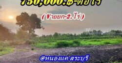 ที่ดินทำเลดีติดถนนคอนกรีตวิวริมน้ำที่หนองแคสระบุรี ต.หนองจระเข้ อ.หนองแค จ.สระบุรี T.062-1574449
