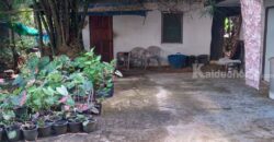 ขายด่วนหอพักใกล้ราชมงคลพาน