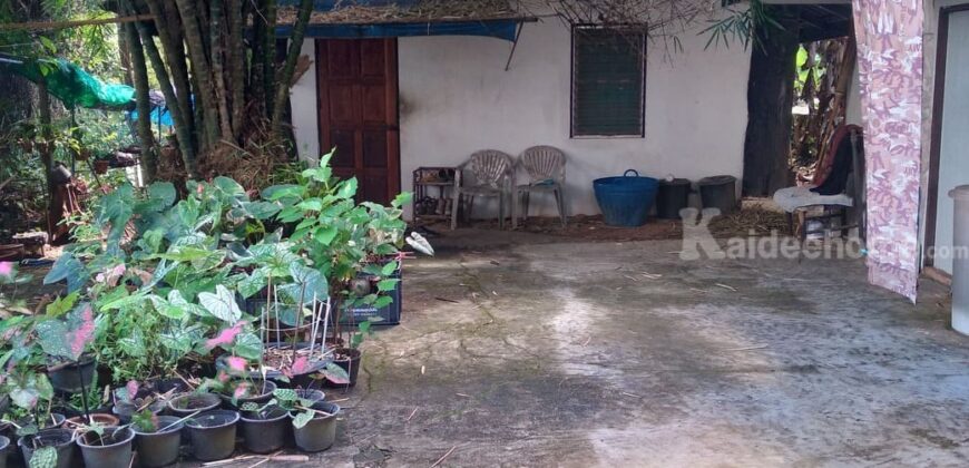 ขายด่วนหอพักใกล้ราชมงคลพาน