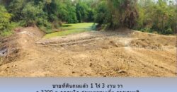 ขายที่ดินติดลำห้วย 1 ไร่ 3 งาน 65 วา ถ.3209 ต.กลอนโด ด่านมะขามเตี้ย กาญจนบุรี ใกล้ ตลาดนัดยางเกาะ สำหรับ ปลูกบ้าน รีสอร์ท โกดัง อื่นๆ
