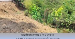 ขายที่ดินติดลำห้วย 1 ไร่ 3 งาน 65 วา ถ.3209 ต.กลอนโด ด่านมะขามเตี้ย กาญจนบุรี ใกล้ ตลาดนัดยางเกาะ สำหรับ ปลูกบ้าน รีสอร์ท โกดัง อื่นๆ