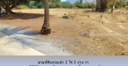 ขายที่ดินติดลำห้วย 1 ไร่ 3 งาน 65 วา ถ.3209 ต.กลอนโด ด่านมะขามเตี้ย กาญจนบุรี ใกล้ ตลาดนัดยางเกาะ สำหรับ ปลูกบ้าน รีสอร์ท โกดัง อื่นๆ