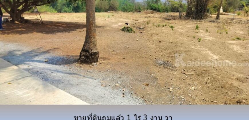 ขายที่ดินติดลำห้วย 1 ไร่ 3 งาน 65 วา ถ.3209 ต.กลอนโด ด่านมะขามเตี้ย กาญจนบุรี ใกล้ ตลาดนัดยางเกาะ สำหรับ ปลูกบ้าน รีสอร์ท โกดัง อื่นๆ