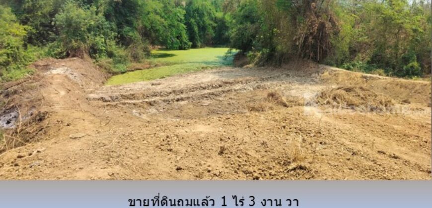 ขายที่ดินติดลำห้วย 1 ไร่ 3 งาน 65 วา ถ.3209 ต.กลอนโด ด่านมะขามเตี้ย กาญจนบุรี ใกล้ ตลาดนัดยางเกาะ สำหรับ ปลูกบ้าน รีสอร์ท โกดัง อื่นๆ