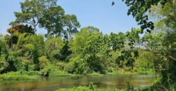 ขายที่ดินสวยระดับนางฟ้า ติดริมแม่น้ำเพชรบุรี