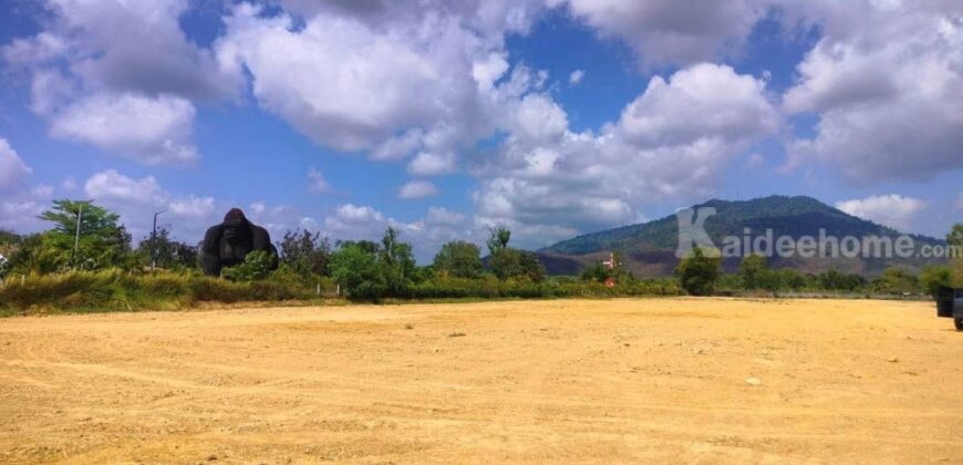 ขายที่ดินเปล่า ต.ตะพง อ.เมืองระยอง วิวสวย บรรยากาศดี ขายที่ดินเปล่า ต.ตะพง อ.เมืองระยอง วิวสวย บรรยากาศดี