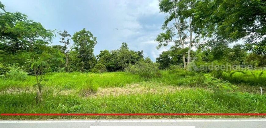 ขายด่วน !! ที่ดินเปล่าแปลงสวย บ้านสันไร่ ต.สันกำแพง อ.สันกำแพง จ.เชียงใหม่