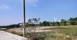 ขายที่ดินเปล่าถมแล้วมี+น้ำ+ไฟ