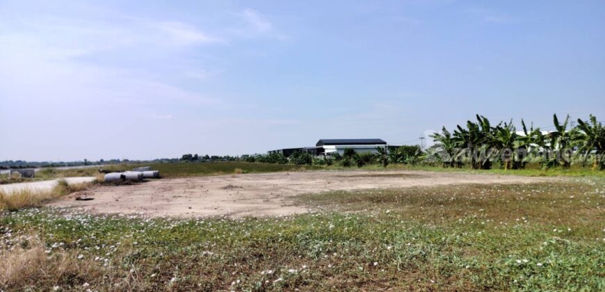 ขายที่ดินเปล่าถมแล้วมี+น้ำ+ไฟ