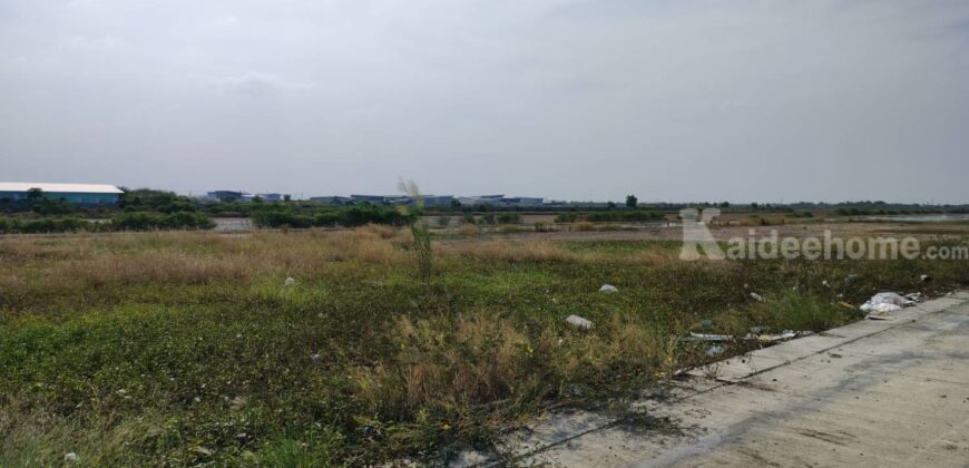 ขายที่ดินเปล่าถมแล้วมี+น้ำ+ไฟ