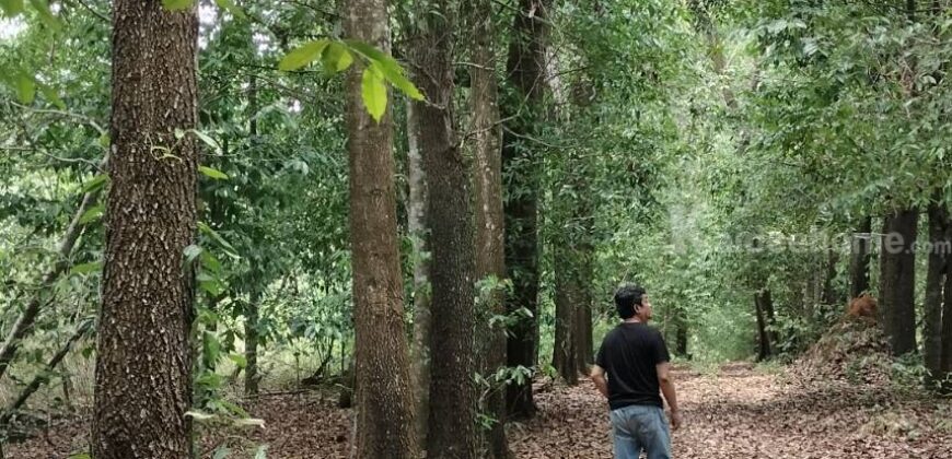 ขายที่ดินแปลงใหญ่ ที่ตั้ง ต.บ่อพลอย อ.บ่อไร่ จ.ตราด ขนาด 103 ไร่ 3 งาน 80 ตารางวา