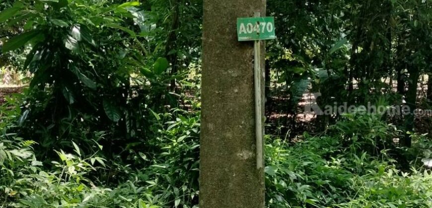 ขายที่ดินแปลงใหญ่ ที่ตั้ง ต.บ่อพลอย อ.บ่อไร่ จ.ตราด ขนาด 103 ไร่ 3 งาน 80 ตารางวา