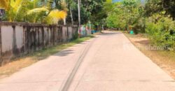 ขายที่ดินเปล่า ต.ตะพง อ.เมืองระยอง วิวสวย บรรยากาศดี ขายที่ดินเปล่า ต.ตะพง อ.เมืองระยอง วิวสวย บรรยากาศดี