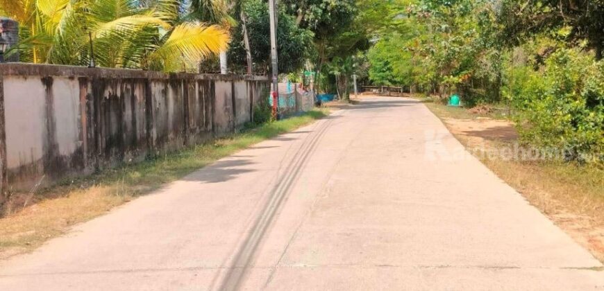 ขายที่ดินเปล่า ต.ตะพง อ.เมืองระยอง วิวสวย บรรยากาศดี ขายที่ดินเปล่า ต.ตะพง อ.เมืองระยอง วิวสวย บรรยากาศดี