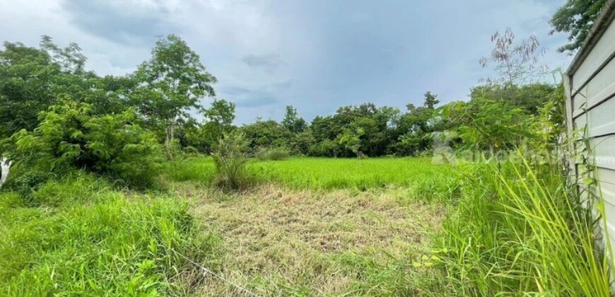 ขายด่วน !! ที่ดินเปล่าแปลงสวย บ้านสันไร่ ต.สันกำแพง อ.สันกำแพง จ.เชียงใหม่