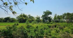 ขายที่ดินสวยระดับนางฟ้า ติดริมแม่น้ำเพชรบุรี