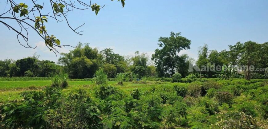 ขายที่ดินสวยระดับนางฟ้า ติดริมแม่น้ำเพชรบุรี