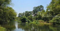 ขายที่ดินสวยระดับนางฟ้า ติดริมแม่น้ำเพชรบุรี