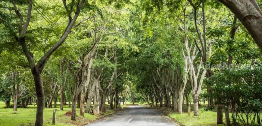 ขายบ้านเขาใหญ่ ปากช่อง ที่ดิน 339 ตร.ว ในโครงการใกล้ถนนธนะรัชต์ มอเตอร์เวย์ ใกล้ตัวเมืองปากช่อง บ้านพักตากอากาศสไตล์รีสอร์ท หนองน้ำแดง ใกล้ถนนมิตรภาพ ห้างแม็คโคร โรงพยาบาล 087-9074045