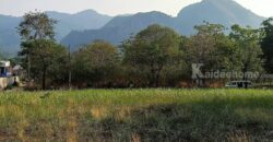 ขายที่ดินติดเขา เขาใหญ่ หมูสี วิวเขาสวยมาก 360ตร.ว ใกล้โครงการ Provence แปลงสวยหายาก วิวเขาหน้าหลัง อยู่กุดคล้าผ่านศึก ใกล้ธนะรัชต์ 1.4 กม. เหมาะปลูกบ้าน ทำรีสอร์ท ใกล้อุทยานแห่งชาติเขาใหญ่ 0879074045