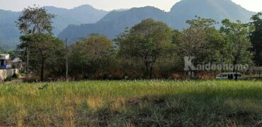 ขายที่ดินติดเขา เขาใหญ่ หมูสี วิวเขาสวยมาก 360ตร.ว ใกล้โครงการ Provence แปลงสวยหายาก วิวเขาหน้าหลัง อยู่กุดคล้าผ่านศึก ใกล้ธนะรัชต์ 1.4 กม. เหมาะปลูกบ้าน ทำรีสอร์ท ใกล้อุทยานแห่งชาติเขาใหญ่ 0879074045