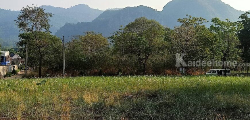 ขายที่ดินติดเขา เขาใหญ่ หมูสี วิวเขาสวยมาก 360ตร.ว ใกล้โครงการ Provence แปลงสวยหายาก วิวเขาหน้าหลัง อยู่กุดคล้าผ่านศึก ใกล้ธนะรัชต์ 1.4 กม. เหมาะปลูกบ้าน ทำรีสอร์ท ใกล้อุทยานแห่งชาติเขาใหญ่ 0879074045
