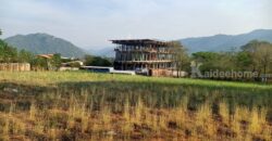 ขายที่ดินติดเขา เขาใหญ่ หมูสี วิวเขาสวยมาก 360ตร.ว ใกล้โครงการ Provence แปลงสวยหายาก วิวเขาหน้าหลัง อยู่กุดคล้าผ่านศึก ใกล้ธนะรัชต์ 1.4 กม. เหมาะปลูกบ้าน ทำรีสอร์ท ใกล้อุทยานแห่งชาติเขาใหญ่ 0879074045