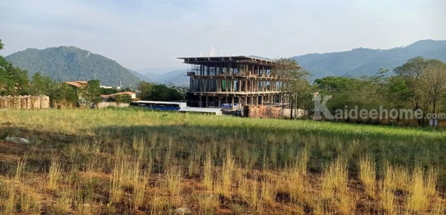 ขายที่ดินติดเขา เขาใหญ่ หมูสี วิวเขาสวยมาก 360ตร.ว ใกล้โครงการ Provence แปลงสวยหายาก วิวเขาหน้าหลัง อยู่กุดคล้าผ่านศึก ใกล้ธนะรัชต์ 1.4 กม. เหมาะปลูกบ้าน ทำรีสอร์ท ใกล้อุทยานแห่งชาติเขาใหญ่ 0879074045