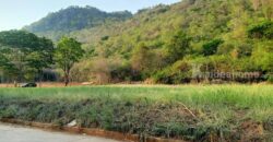 ขายที่ดินติดเขา เขาใหญ่ หมูสี วิวเขาสวยมาก 360ตร.ว ใกล้โครงการ Provence แปลงสวยหายาก วิวเขาหน้าหลัง อยู่กุดคล้าผ่านศึก ใกล้ธนะรัชต์ 1.4 กม. เหมาะปลูกบ้าน ทำรีสอร์ท ใกล้อุทยานแห่งชาติเขาใหญ่ 0879074045