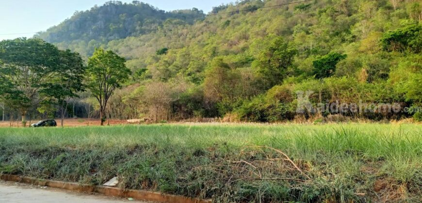 ขายที่ดินติดเขา เขาใหญ่ หมูสี วิวเขาสวยมาก 360ตร.ว ใกล้โครงการ Provence แปลงสวยหายาก วิวเขาหน้าหลัง อยู่กุดคล้าผ่านศึก ใกล้ธนะรัชต์ 1.4 กม. เหมาะปลูกบ้าน ทำรีสอร์ท ใกล้อุทยานแห่งชาติเขาใหญ่ 0879074045