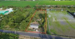 ✨ขายที่ดินพร้อมสร้างบ้านหรือทำธุรกิจ 3 ไร่ 2 งาน ปทุมธานี✨