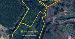 ขายที่ดินแปลงใหญ่ ที่ตั้ง ต.บ่อพลอย อ.บ่อไร่ จ.ตราด ขนาด 103 ไร่ 3 งาน 80 ตารางวา