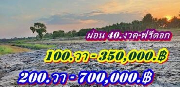 ไม่มีเงินก้อนก็ผ่อนชิวล์-ที่คลอง11หนองเสือ-ที่ดินเงินผ่อน-ผ่อนที่-ฟรีดอกเบี้ย- T.062-1574449